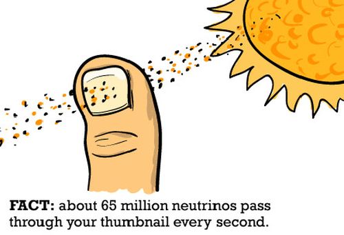 neutrinos