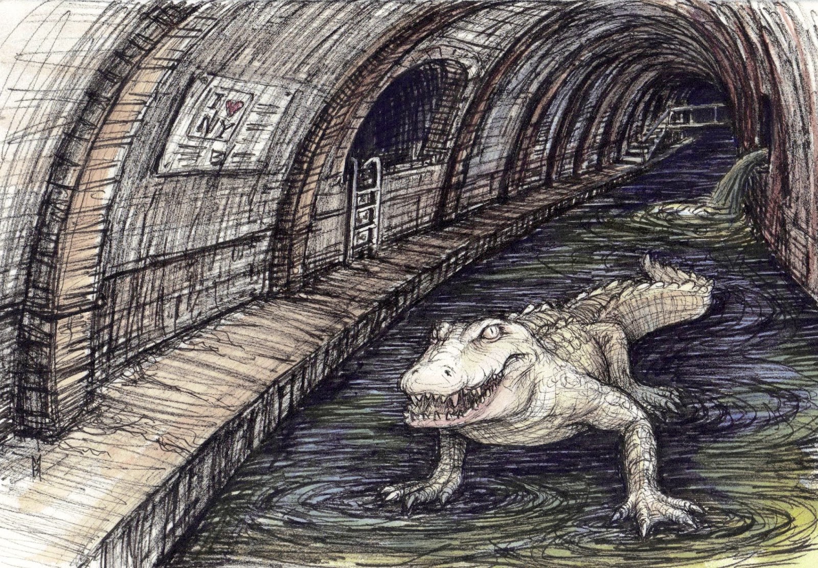 De verdad hay cocodrilos en las alcantarillas de Nueva York? – Maikelnai´s  Blog